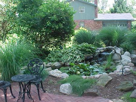 8&#039; x 10&#039; Pond with Mature Landscaping